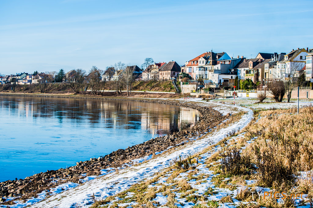 Winter an der Elbe bei Coswig (Anhalt)