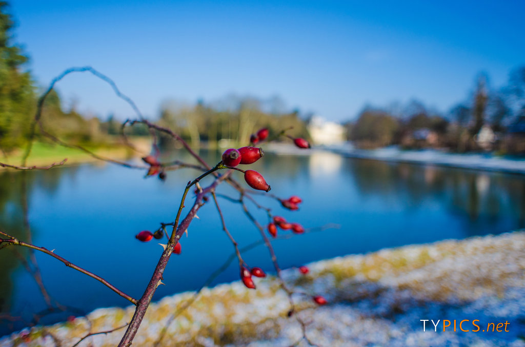 Winteraufnahmen Wörlitzer Park