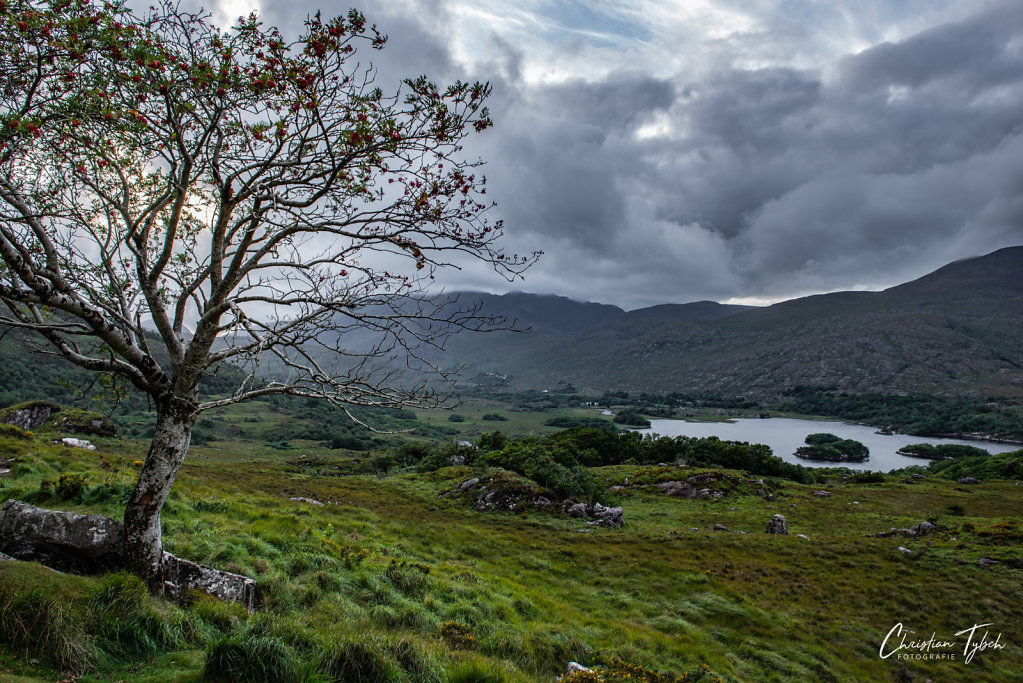 2018-08-24-Irland-Urlaub-Ring-of-Kerry-484.jpg